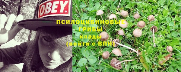 кокаин перу Вяземский